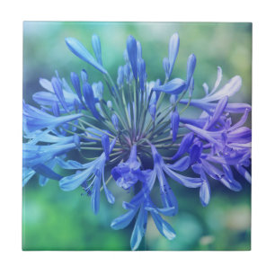 Lily of The Nile Tile