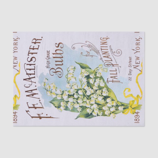 Lily of the Valley Antique Print Tissue Paper (Front)
