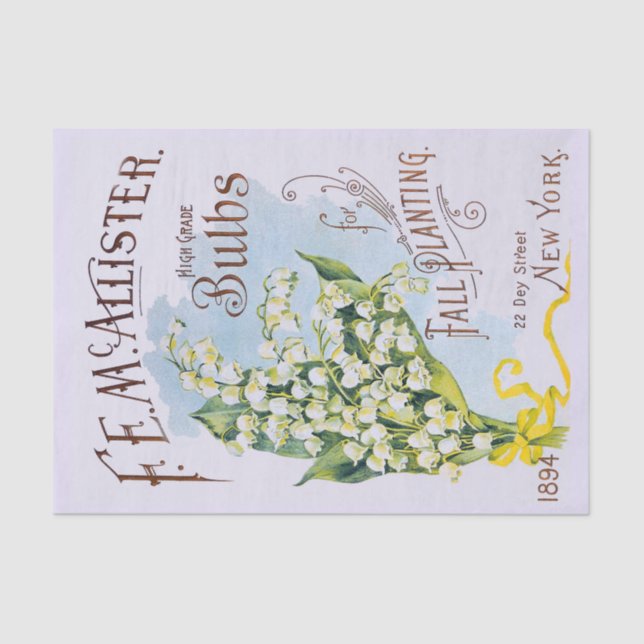Lily of the Valley Antique Print Tissue Paper (Front)