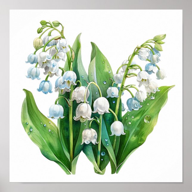 Lily of the Valley Art Print (Front)