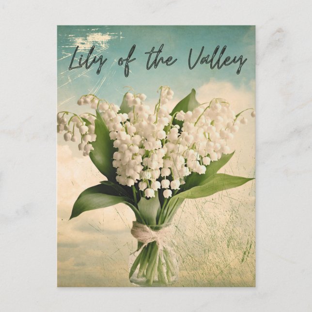 Lily of the Valley Birth Month Flower Retro Postcard (Front)