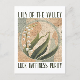 Lily of the Valley Birth Month Flower Retro Postcard