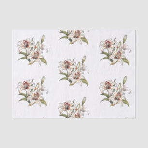 Lily Of The Valley. Blooming orange lily stem Tissue Paper