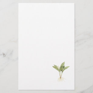 Lily-of-the-valley(Convallaria majalis) by Redouté Stationery