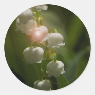 Lily Of The Valley Floral Classic Round Sticker