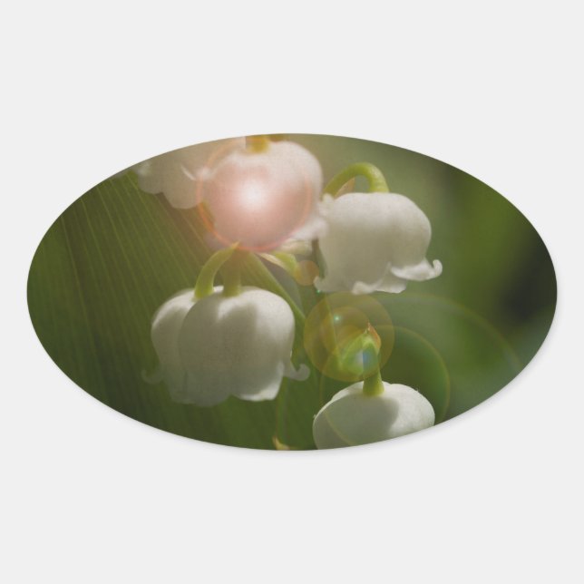 Lily Of The Valley Floral Oval Sticker (Front)