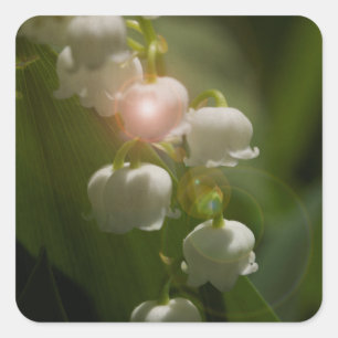 Lily Of The Valley Floral Square Sticker