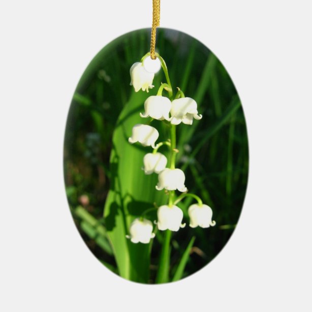 Lily Of The Valley Gifts & Gift Ideas | Zazzle UK
