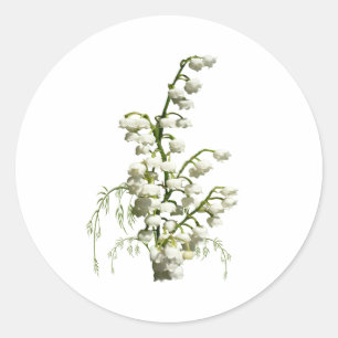 Lily of the Valley flowers Classic Round Sticker