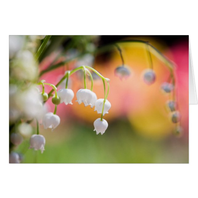 Lily of the Valley folded card (Front Horizontal)