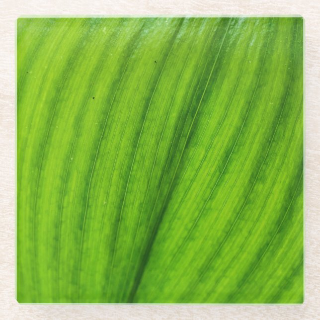 Lily of the Valley Glass Coaster (Front)