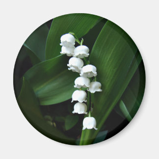 Lily of the Valley magnet