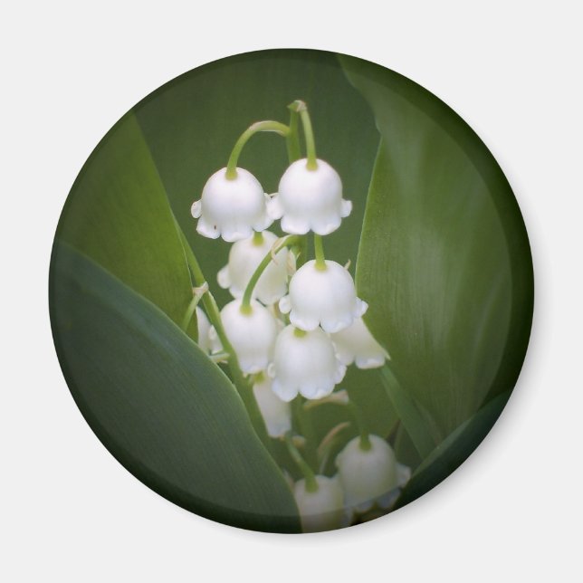 Lily-Of-The_Valley Magnet (Front)