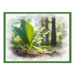 Lily of the valley National Flower Finland Photo Print