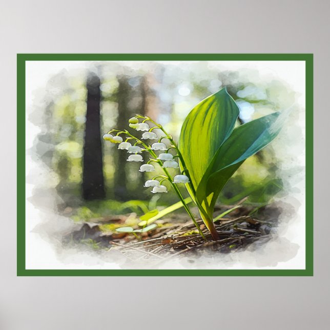 Lily of the valley National Flower Finland |  Poster (Front)