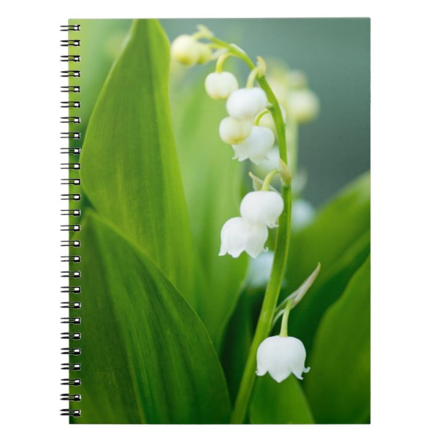 Lily of the Valley Notebook (Front)