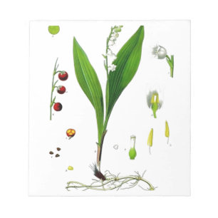 Lily of the Valley Notepad
