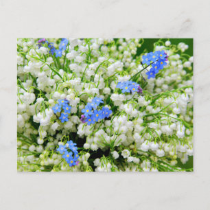 Lily of the valley postcard
