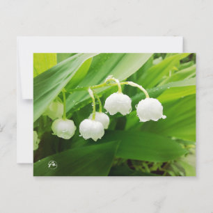 lily of the valley postcard