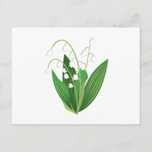 Lily Of The Valley Postcard