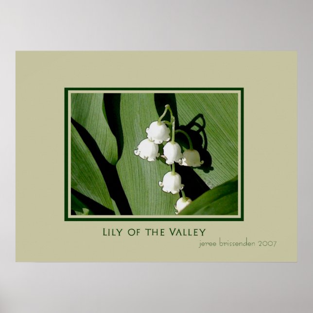 Lily of the Valley Poster (Front)
