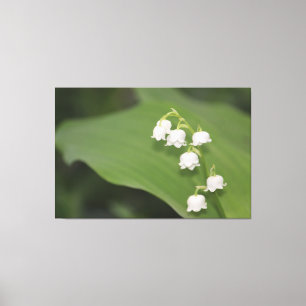 Lily Of The Valley Print