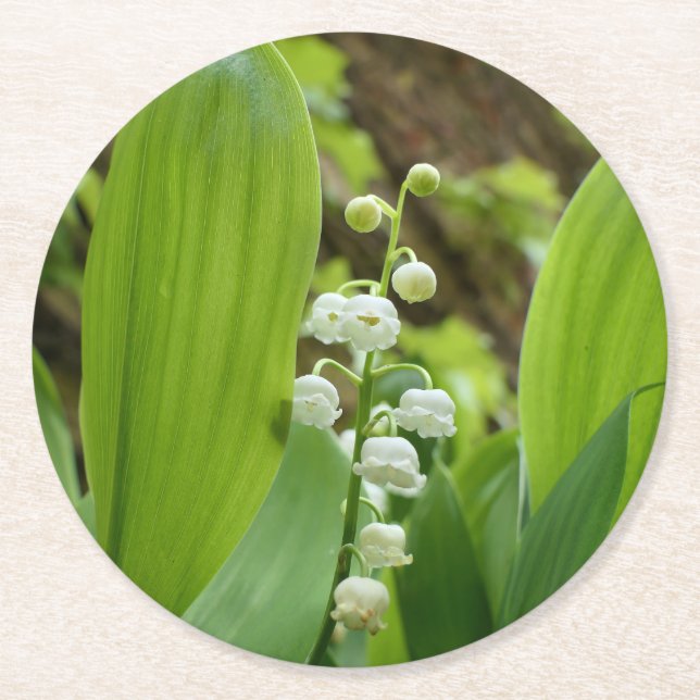 Lily of the Valley Round Paper Coaster (Front)