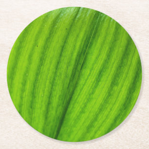 Lily of the Valley Round Paper Coaster