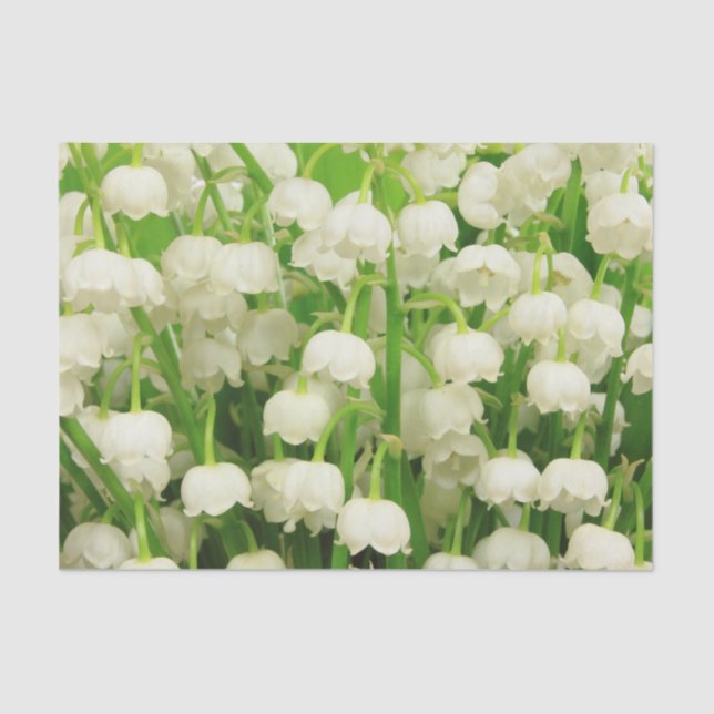 Lily of the Valley Spring Flowers  Tissue Paper (Front)