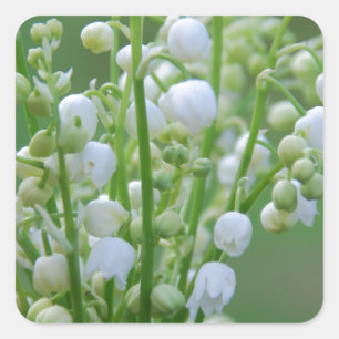 Lily of the valley square sticker