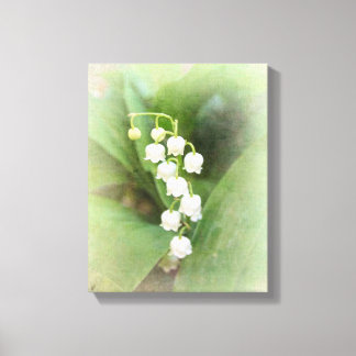 Lily of The Valley Stretched Canvas Print