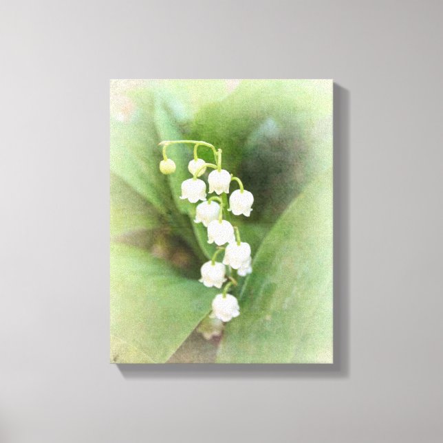 Lily of The Valley Stretched Canvas Print (Front)