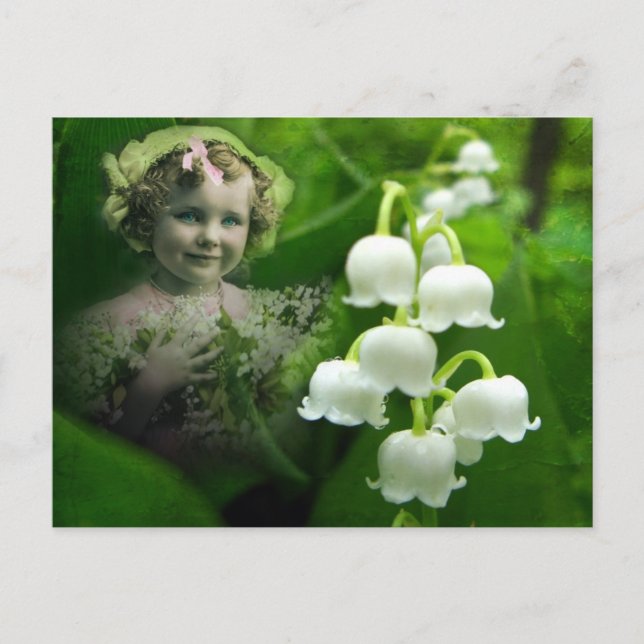 Lily of the Valley Sweet White Bell Flower Bouquet Postcard (Front)