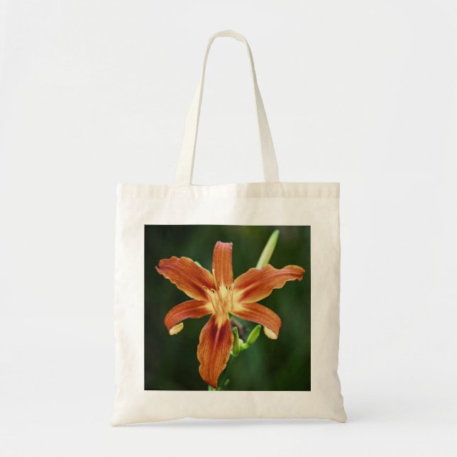 Lily P6588 Bag (Front)