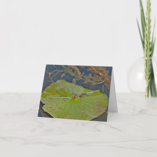 Lily Pad & Damselfly Note Card (Front)