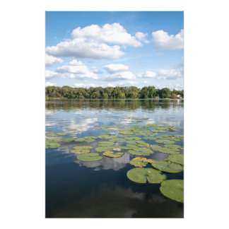 Lily Pad Lake Photo Print