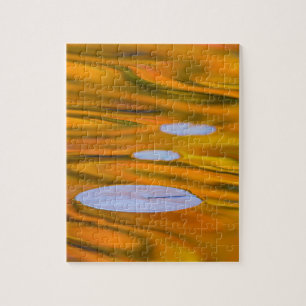 Lily pad on orange water, Canada Jigsaw Puzzle