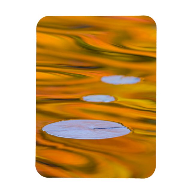 Lily pad on orange water, Canada Magnet (Vertical)
