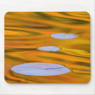 Lily pad on orange water, Canada Mouse Mat
