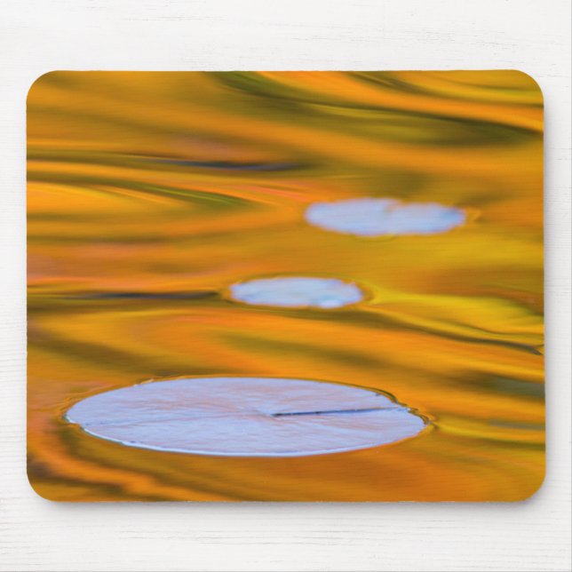 Lily pad on orange water, Canada Mouse Mat (Front)