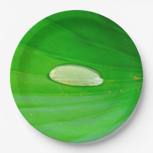 Lily Pad Paper Plate