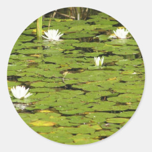 Lily pad stickers