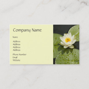 Lily Pads and White Lotus Flower Business Card