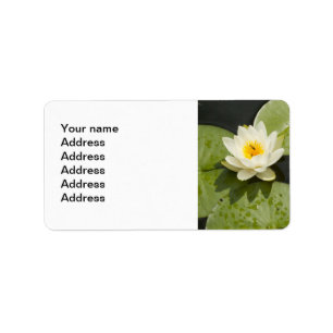 Lily Pads and White Lotus Flower Label