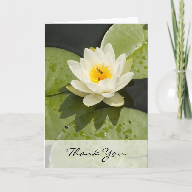 Lily Pads and White Lotus Flower Thank You Card (Front)