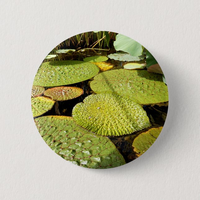 Lily Pads Badge (Front)