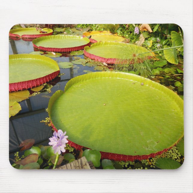 Lily Pads Mouse Mat (Front)
