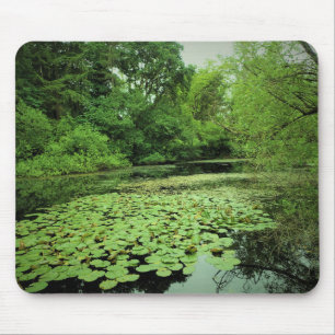Lily Pads on the Pond Mouse Mat