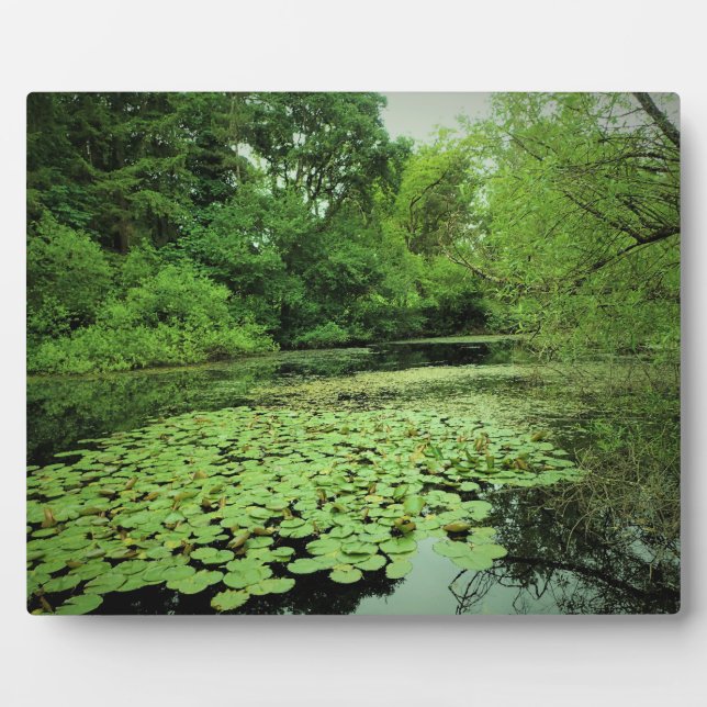 Lily Pads on the Pond Plaque (Front)