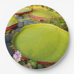 Lily Pads Paper Plate